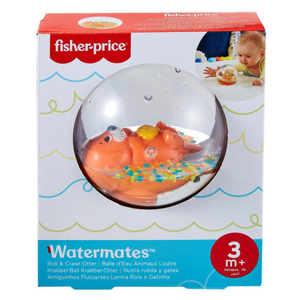 Fisher Price Waterbal Assorti