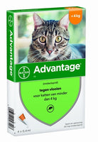 Bayer Advantage Kat