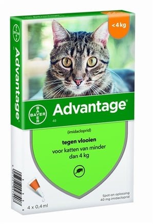 Bayer Advantage Kat