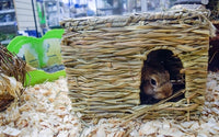 Nature First Happy Pet Grassy Hideaway Verstopplek