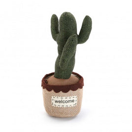 Deurstopper cactus