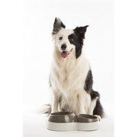 Bama Pet Voerderbak Met Waterreservoir 33X20X9 Cm Assorti