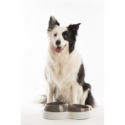 Bama Pet Voerderbak Met Waterreservoir 33X20X9 Cm Assorti