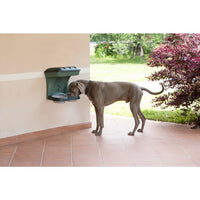 Bama Pet Hondenvoederbak 48X27X42 Cm Groen