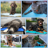 Nosli Zelfkoelende Koelmat Voor Honden En Katten 50X90 Cm Zeeblauw