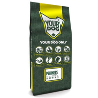 Yourdog Pekinees Volwassen