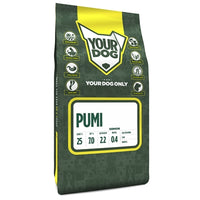 Yourdog Pumi Senior