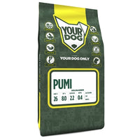 Yourdog Pumi Volwassen