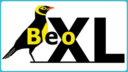 BeoXL Dekbed - 200 x 220 MEDISCHE LUXE ECO