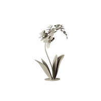 BeoXL - Orchidee decoratieve woonkamer plant